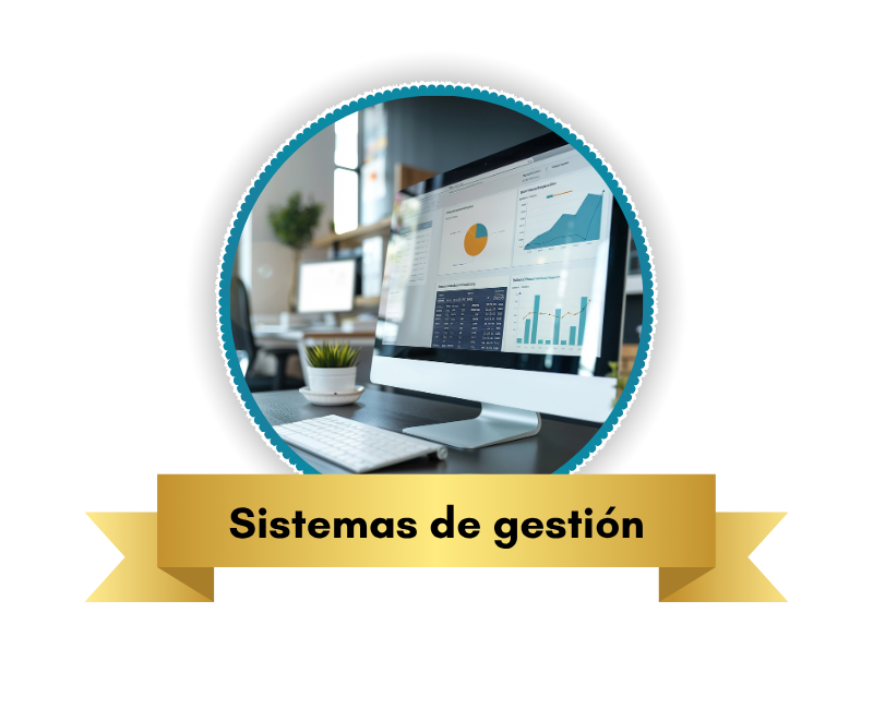Sistemas de Gestión