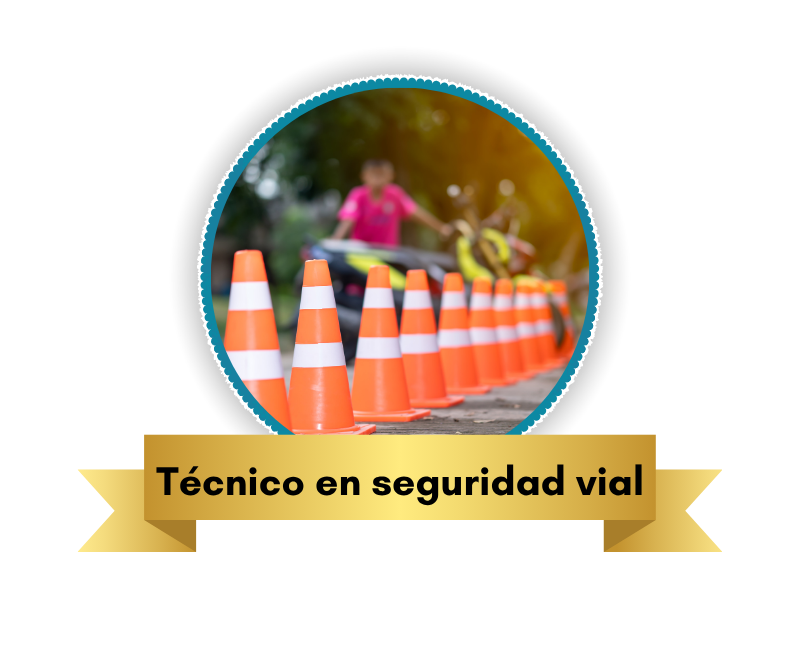 Técnico en seguridad vial